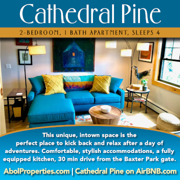 Cathedral Pine